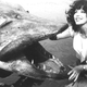 Illustration for article titled Joan Collins Nearly Starred in This Movie About a Killer Pike